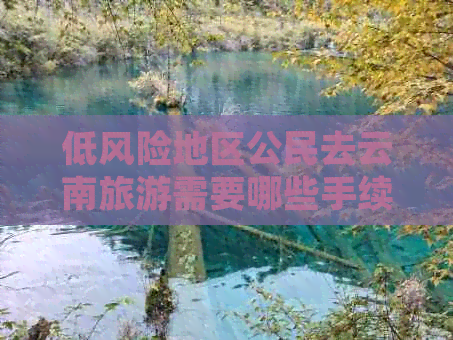 低风险地区公民去云南旅游需要哪些手续？