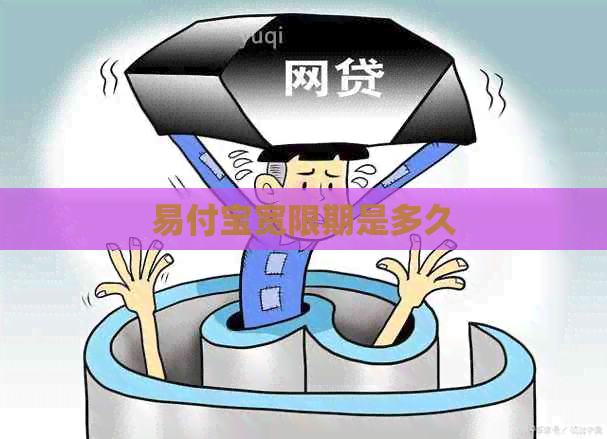 易付宝宽限期是多久