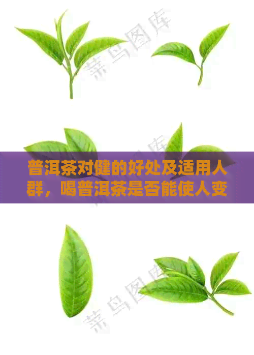 普洱茶对健的好处及适用人群，喝普洱茶是否能使人变年轻？