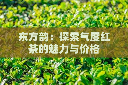 东方韵：探索气度红茶的魅力与价格