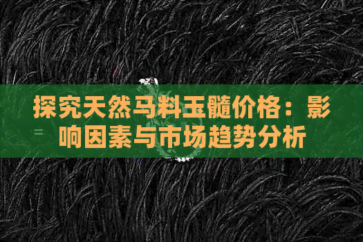 探究天然马料玉髓价格：影响因素与市场趋势分析