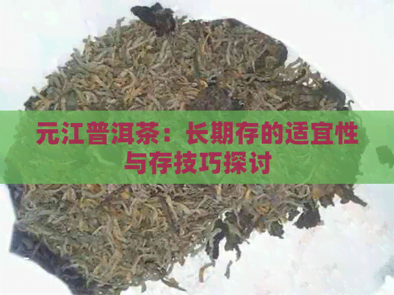 元江普洱茶：长期存的适宜性与存技巧探讨