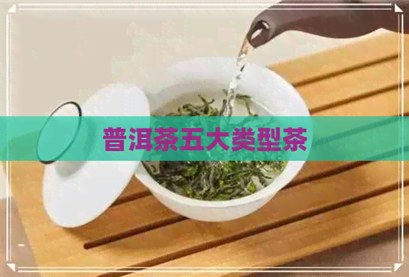 普洱茶五大类型茶