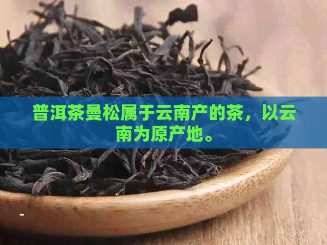 普洱茶曼松属于云南产的茶，以云南为原产地。