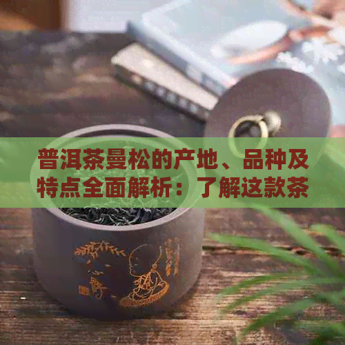 普洱茶曼松的产地、品种及特点全面解析：了解这款茶叶来自哪里以及它的特点