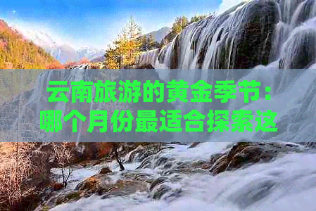 云南旅游的黄金季节：哪个月份最适合探索这个多彩之地？