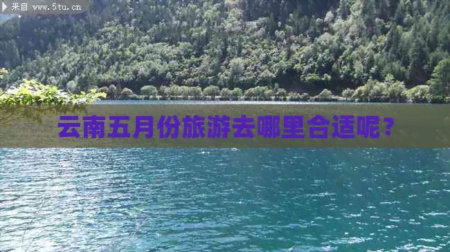 云南五月份旅游去哪里合适呢？