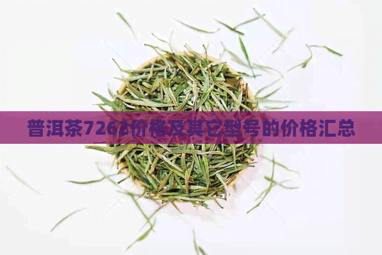 普洱茶7262价格及其它型号的价格汇总