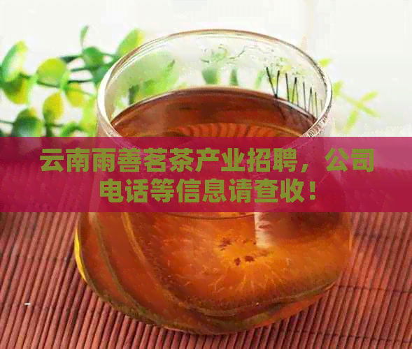 云南雨善茗茶产业招聘，公司电话等信息请查收！