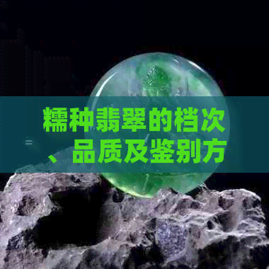 糯种翡翠的档次、品质及鉴别方法全面解析，助您轻松选购高性价比翡翠