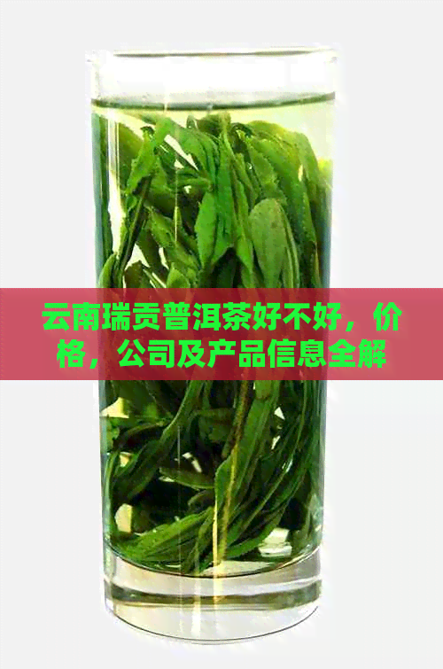 云南瑞贡普洱茶好不好，价格，公司及产品信息全解析