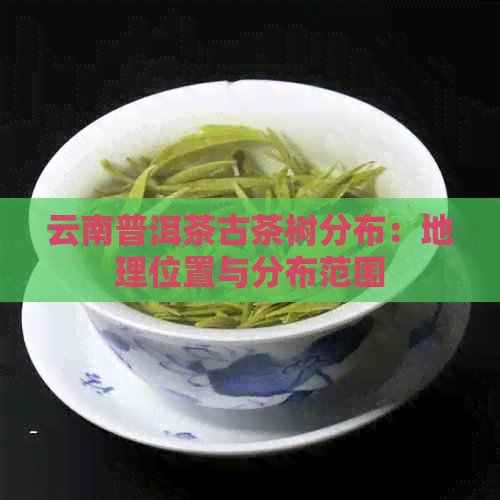 云南普洱茶古茶树分布：地理位置与分布范围