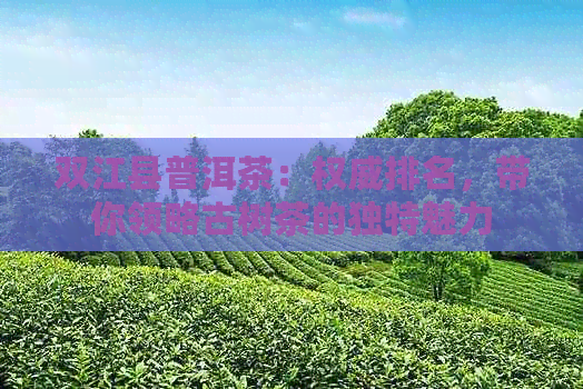 双江县普洱茶：权威排名，带你领略古树茶的独特魅力