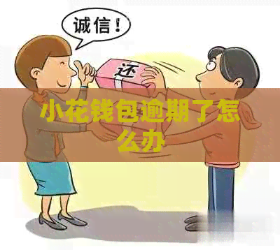 小花钱包逾期了怎么办