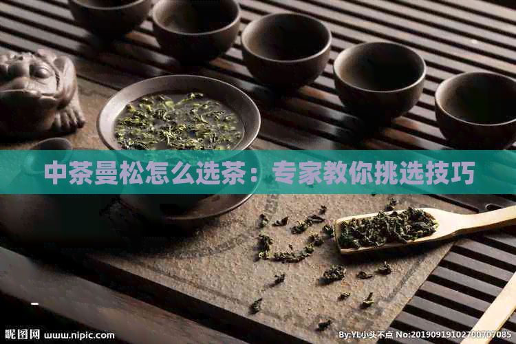 中茶曼松怎么选茶：专家教你挑选技巧