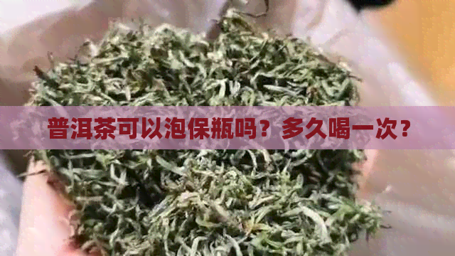 普洱茶可以泡保瓶吗？多久喝一次？