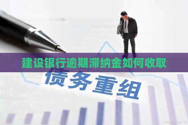 建设银行逾期滞纳金如何收取