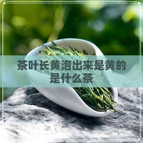 茶叶长黄泡出来是黄的是什么茶