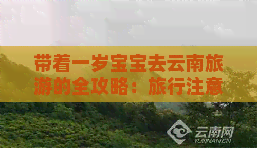 带着一岁宝宝去云南旅游的全攻略：旅行注意事项、景点推荐及行程安排