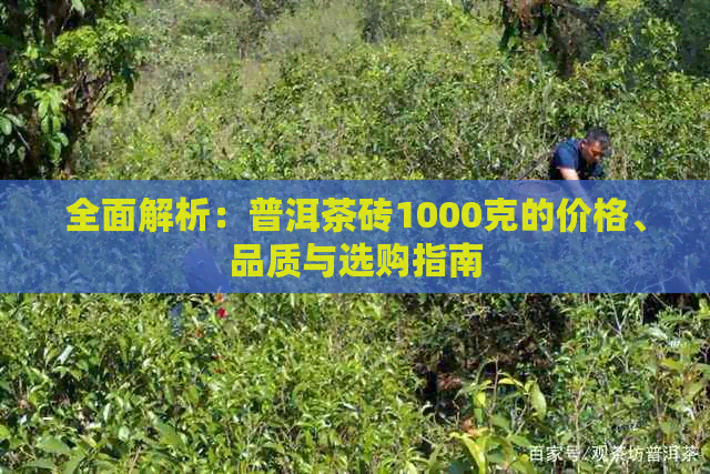 全面解析：普洱茶砖1000克的价格、品质与选购指南