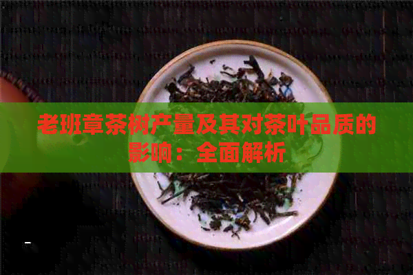 老班章茶树产量及其对茶叶品质的影响：全面解析