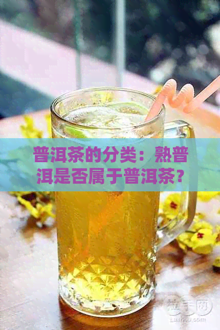 普洱茶的分类：熟普洱是否属于普洱茶？