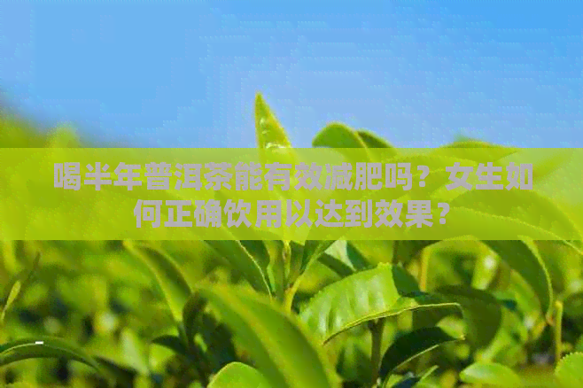 喝半年普洱茶能有效减肥吗？女生如何正确饮用以达到效果？