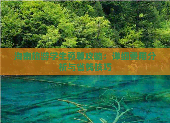 海南旅游学生预算攻略：详细费用分析与省钱技巧