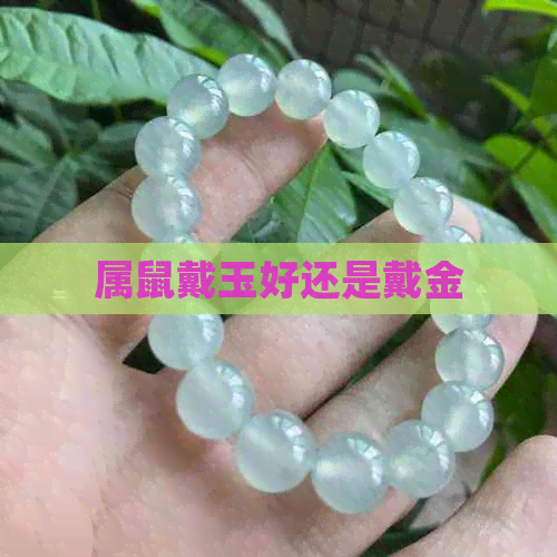 属鼠戴玉好还是戴金