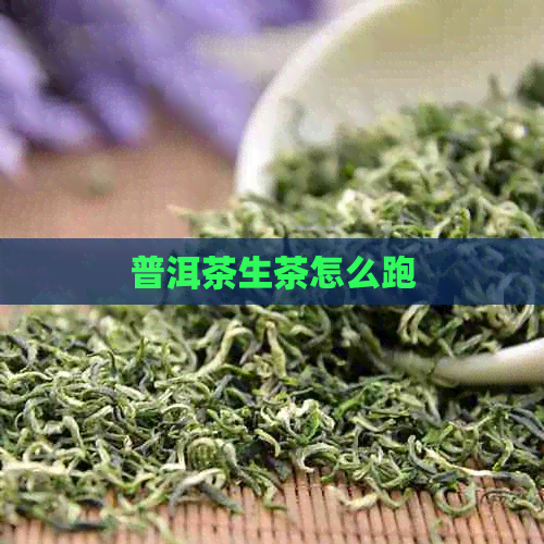 普洱茶生茶怎么跑