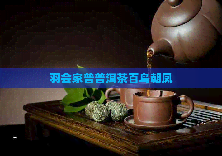 羽会家普普洱茶百鸟朝凤