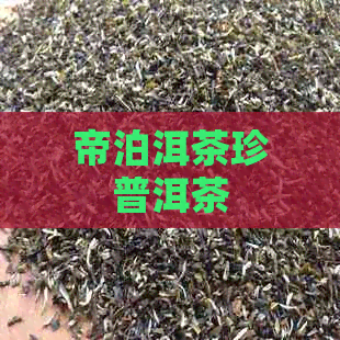 帝泊洱茶珍普洱茶