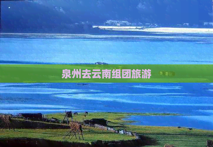 泉州去云南组团旅游