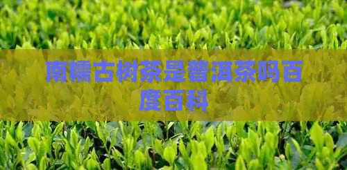 南糯古树茶是普洱茶吗百度百科