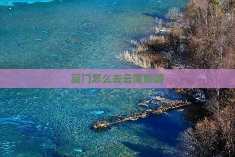 厦门怎么去云南旅游