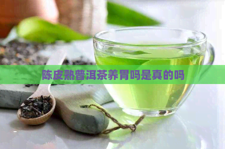 陈皮熟普洱茶养胃吗是真的吗