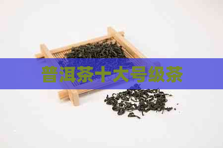 普洱茶十大号级茶