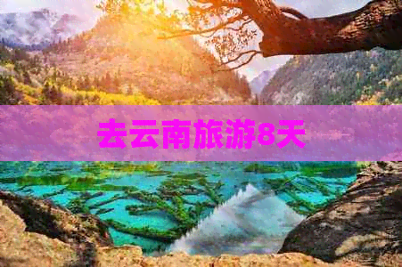 去云南旅游8天