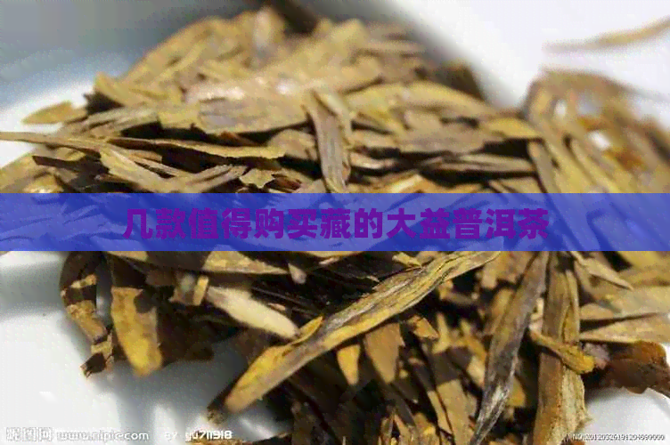 几款值得购买藏的大益普洱茶