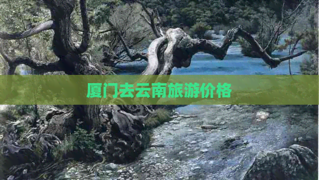 厦门去云南旅游价格