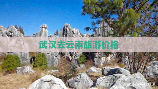 武汉去云南旅游价格