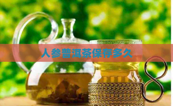 人参普洱茶保存多久