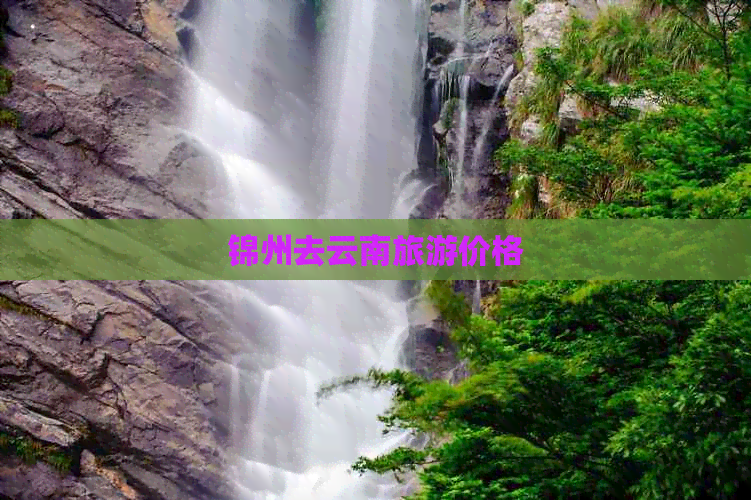 锦州去云南旅游价格