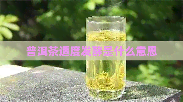 普洱茶适度发酵是什么意思