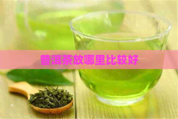 普洱茶放哪里比较好