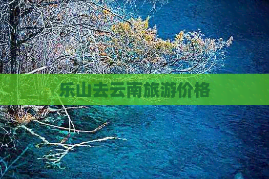 乐山去云南旅游价格