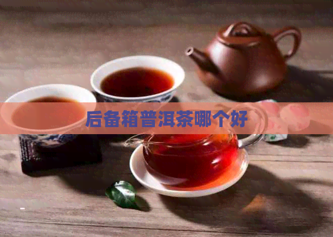 后备箱普洱茶哪个好