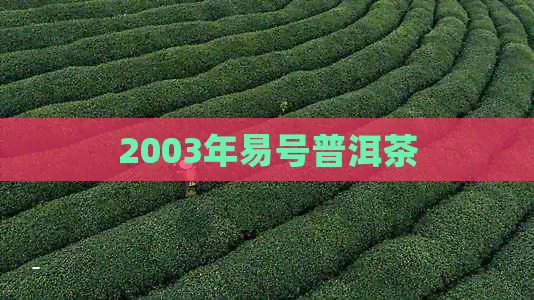 2003年易号普洱茶