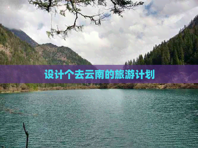 设计个去云南的旅游计划