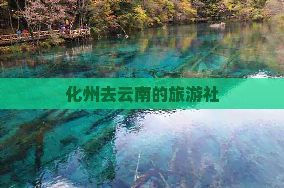 化州去云南的旅游社